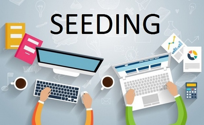 Tìm hiểu về khái niệm seeding trong bán hàng online